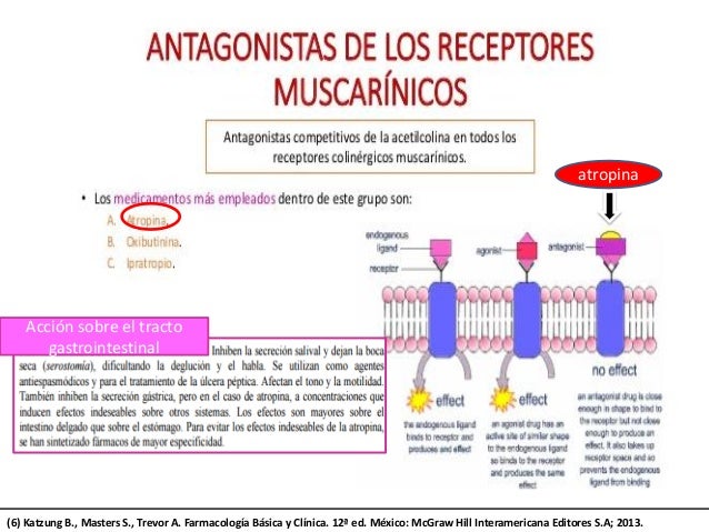 atropina mecanismo de accion